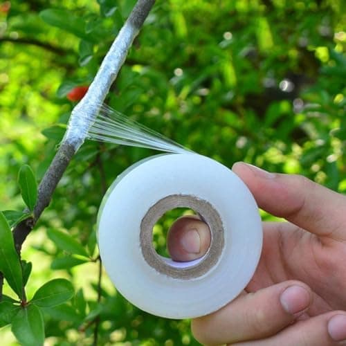 ecofynd 2 inch x 100meter Grafting Stretchable Tape for Nursery and Garden, Degradable Plant Repair Tapes Self-Grafting Clear Film for Fruit, Floral, Tree and Plants Grafting Film Tool (Pack of 1)