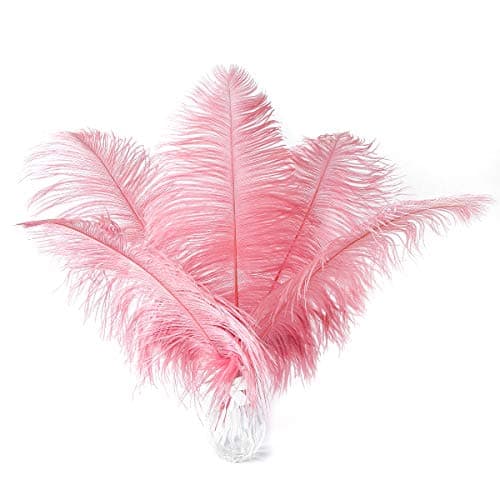 Ballinger Lotus Pink Ostrich Feathers 24Pcs 810inch Feathers for CraftsParty CenterpiecesWedding and Home Decor