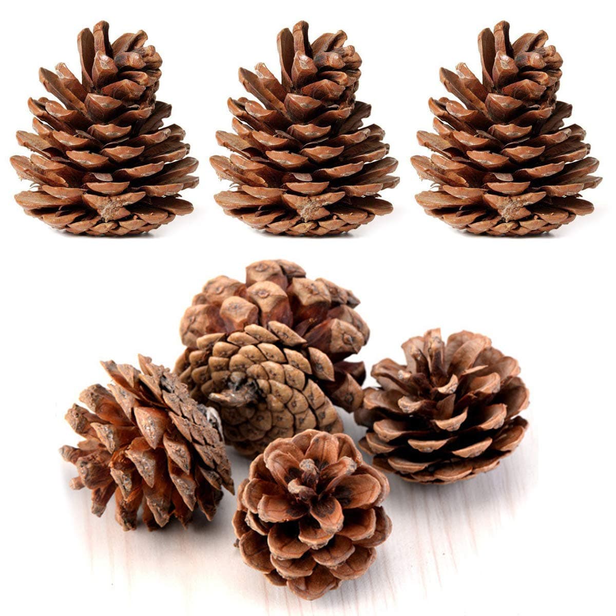 Bulk Package of Natural Pinecones24 Pack