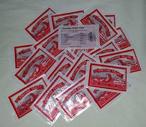 Fortune Teller Miracle Fish Lot of 20 Kids Party Favorite 4077 by Loftus