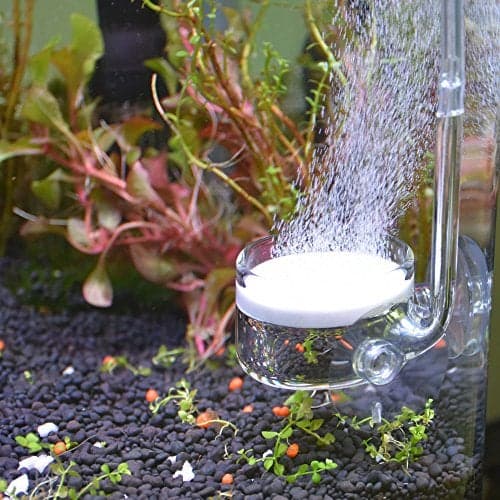 Yagote CO2 Diffuser Glass Reactor with U Shape Connecting Tube for Pollen Aquarium Plants Tank(CO2 Diffuser-Large Flat-Bottomed)