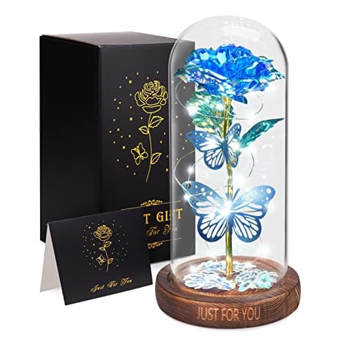WOKEISE Valentines Day Gifts for Her, Light Up Rose Butterfly in Glass Dome, Birthday Anniversary Flower Lighted Roses Gifts for Women,Wife,Mom,Grandma,Girlfriend,Girls,Sister, Blue