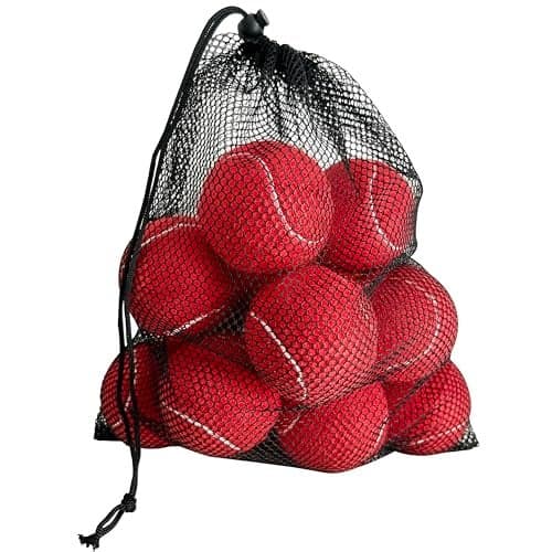 HPWFHPLF Tennis Balls 12 Pack Advanced Training Practice Tennis Balls for Beginners Pet Dogs Playing Balls Includes Mesh Carry Bag Red