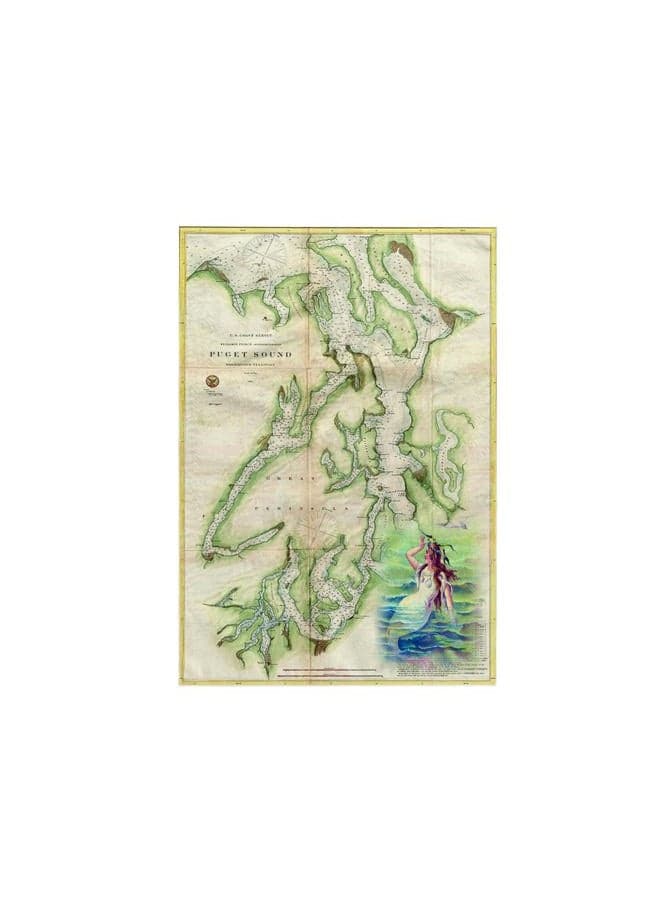 3D Rose Print of Vintage Nautical Puget Sound Map TWL_214252_1 Towel, 15" x 22"