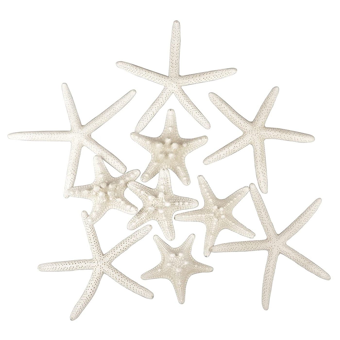 Jangostor 12 PCS Starfish 26 Inch Mixed Starfish Natural Seashells Starfish Star Fish Shells Decorations Perfect for Wedding Decor Beach Theme Party Home Decorations DIY Crafts Fish Tank