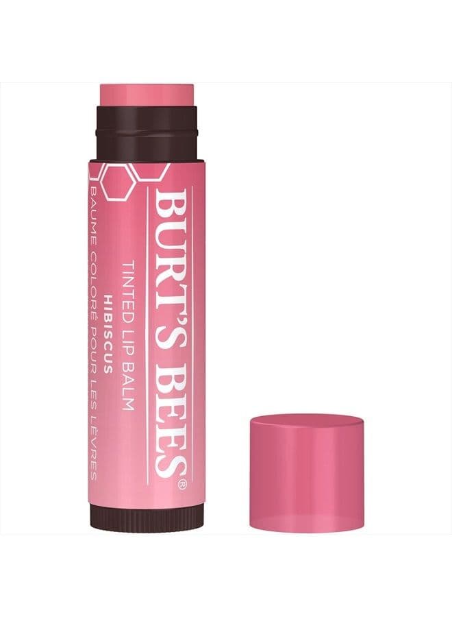 Lip Balm Easter Basket Stuffers, Tinted Moisturizing Lip Care Spring Gift for Women, for Dry Lips, 100% Natural, with Shea Butter, Hibiscus (2 Pack)