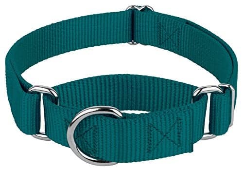 Country Brook Petz Martingale Dog Collar - Heavy-Duty Training Collar with No Buckle - Service Dog Collar for All Pups - Vibrant, Colorful Collection (Teal, 1 Inch, Medium)