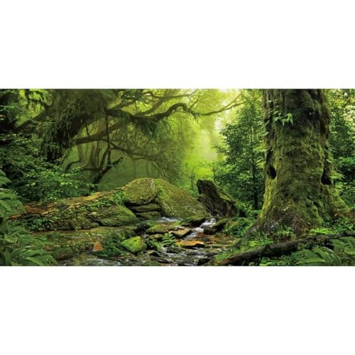 AWERT Tropical Forest Terrarium Background Stream Green Huge Tree Reptile Habitat Background Foggy Rainforest Aquarium Background 48x20 inches Durable Polyester Background