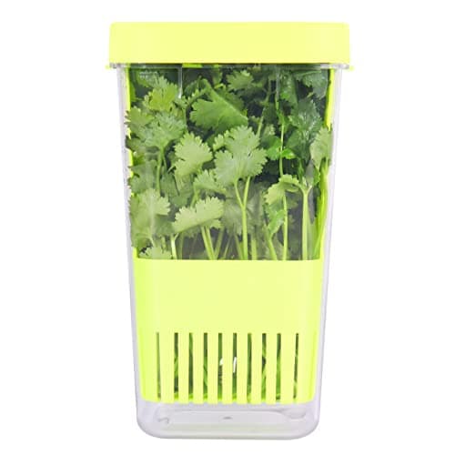 LUVCOSY Herb Keeper BPAFree Plastic Herb Saver with an Inner Basket for Cilantro Mint Parsley and Asparagus Keeps Fresh Herbs for 3 Times Longer1Pcs Green