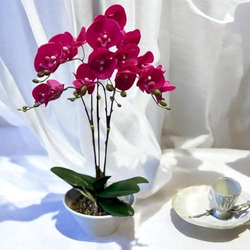 Fox & Fern Artificial 57CM Orchid Flowers in Ceramic Pot with 3 Stems, 5 Flower Sticks | Orchid Bonsai Faux Phalaenopsis Plant (GAOR24-0196DP) Dark Pink