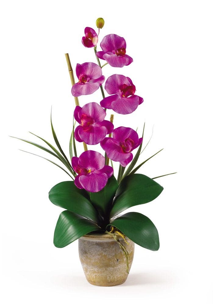 Nearly Natural Phalaenopsis Silk Orchid Flower Arrangement