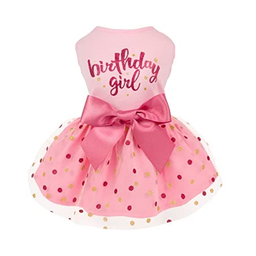 Fitwarm Birthday Girl Dog Tulle Dress, Dog Clothes for Small Dogs Girl, Cat Apparel, Pink, XX-Small