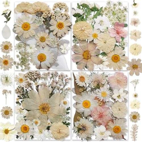 135PCS White Dried Pressed Flowers with Butterfly Stickers YouthBro Real Nature Flowers Craft Set for Resin DIY Jewelry Candle Soap Vase Making Nail Card Scrapbook Art Floral Decors