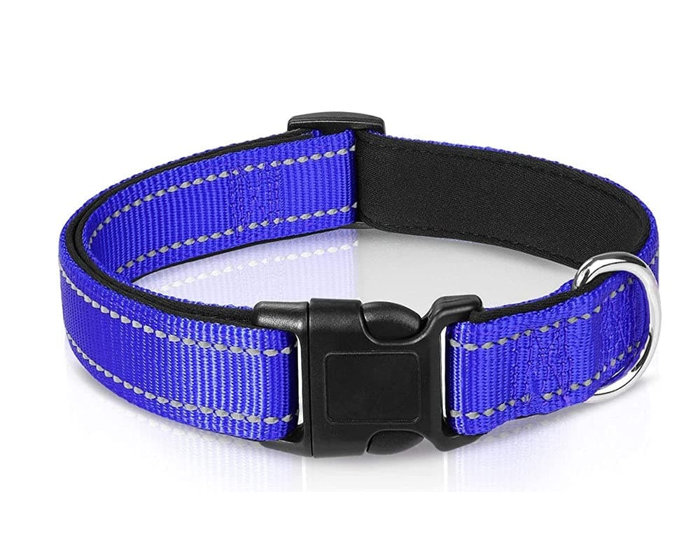 PawCloud Reflective Padded Dog Collar - Large, Blue