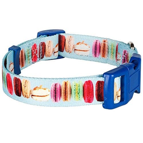Blueberry Pet Essentials The Ultimate Macaroon Cake Adjustable Dog Collar, Medium, Neck 14.5"-20"