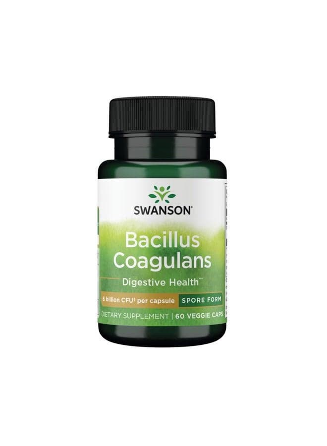 Bacillus Coagulans - Natural Probiotic Supplement Supporting Digestive Health w/ 6 Billion CFU - May Support GI & Overall Gut Health - (60 Veggie Capsules)