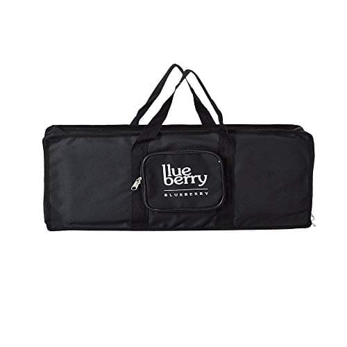 Blueberry KB-10 Compatible with Casio 32 Keys Models SA 46, SA 47, SA 50 Padded Gig Keyboard Bag (Black)