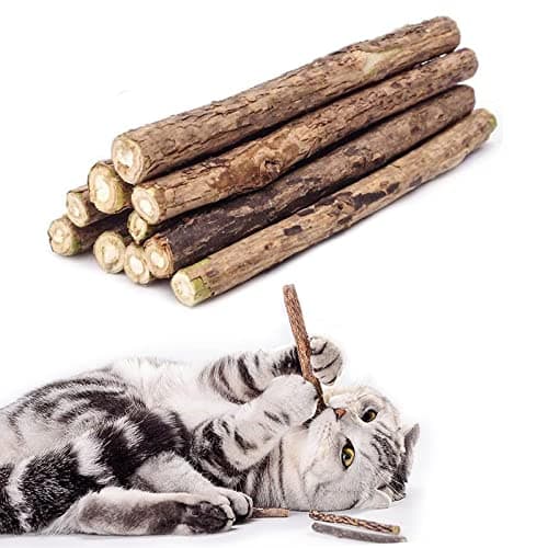 WoLover 10 PCS Cat Catnip Sticks Natural Matatabi Silvervine Sticks Cleaning Teeth Molar Tools Kitten Chew Toy Natural Catnip Cats Toy
