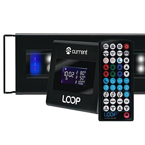 Current USA 3648 Inch Orbit Marine IC LED Saltwater Reef Marine Aquarium Light 24 Hour IR Lighting eFlux Wave Pump Control Adjustable Color Spectrum for Fish Tank 4106