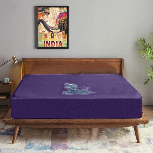 Trance Cotton Feel Terry Ultra Soft Waterproof Mattress Protector Queen Size Double Bed | Breathable - Hypoallergenic Bed Protector Queen Size (78x60 inch | 6.5x5 feet, Plum - Pack of 1)