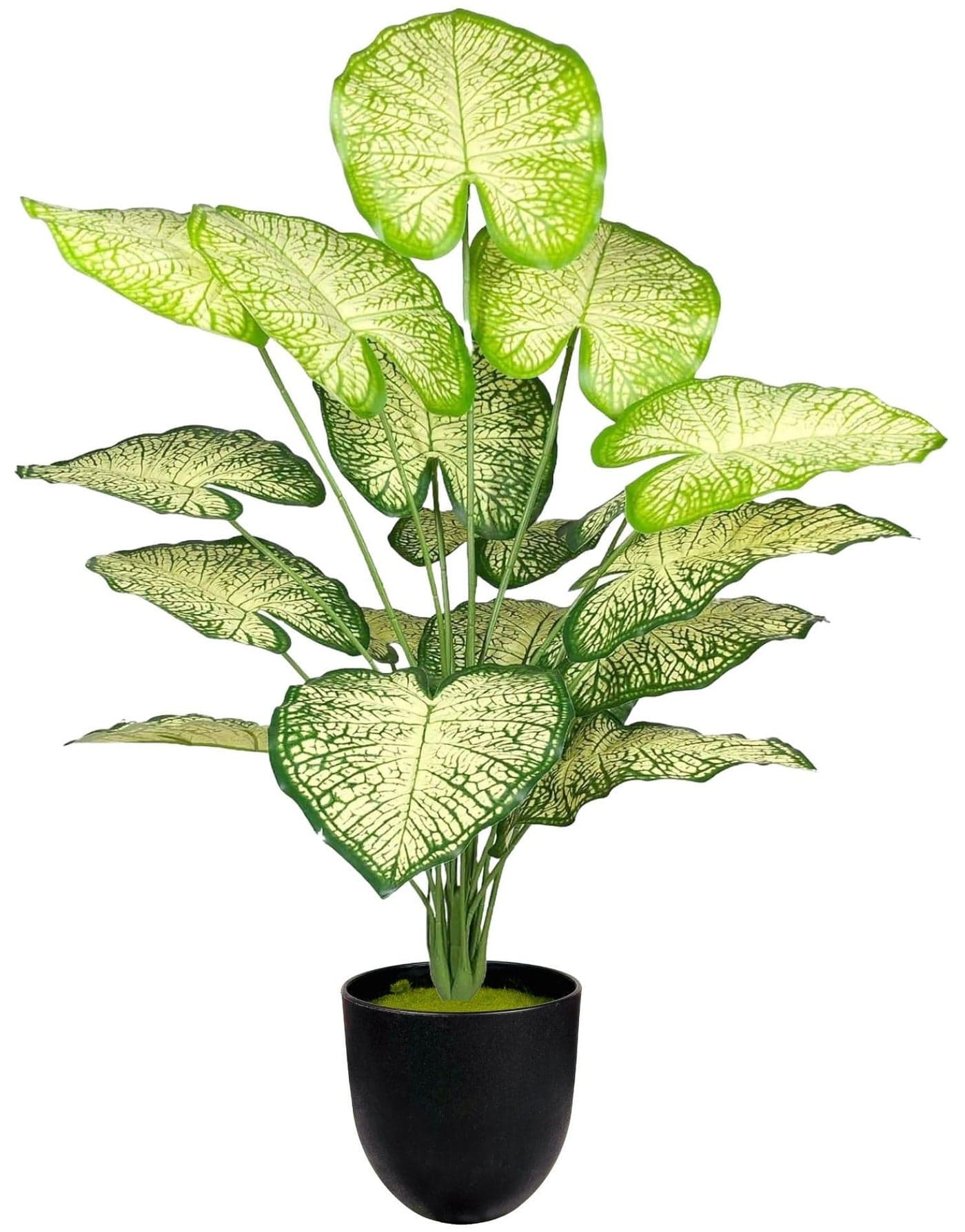 Dekorly Plastic Artificial Palm Plants Leaves Faux Turtle Leaf Fake Monstera Tropical Large Palm Tree Leaves Outdoor Leaf Decorations | 26Inch Plant with Blackpot (White-Green-Leaves)