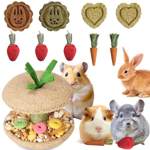 Kagoty 10 PCS Hamster Chew Toys, Guinea Pig Chew Toys for Teeth Natural Timothy Chinchilla Treats Apple Core, Grass Cake, Carrot and Strawberry for Gerbil, Rat, Rabbit and Small Animal Dental Care