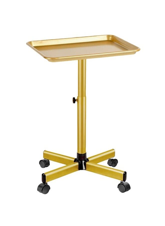 Salon Tray, Salon Color Tray with Adjustable Height, Metal Feet Salon Tray on Wheels, Salon Rolling Tray, Ideal Use As Tattoo Tray&Dental Tray