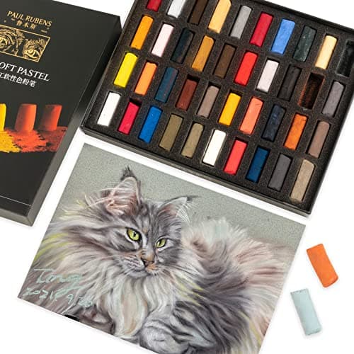 Paul Rubens Professional Soft Pastels 40 Portrait Colors Chalk Pastels Vibrant Smooth and High Adhesion for Painting Drawing Blending Crafting Ideal Art Supplies for Artists Beginners