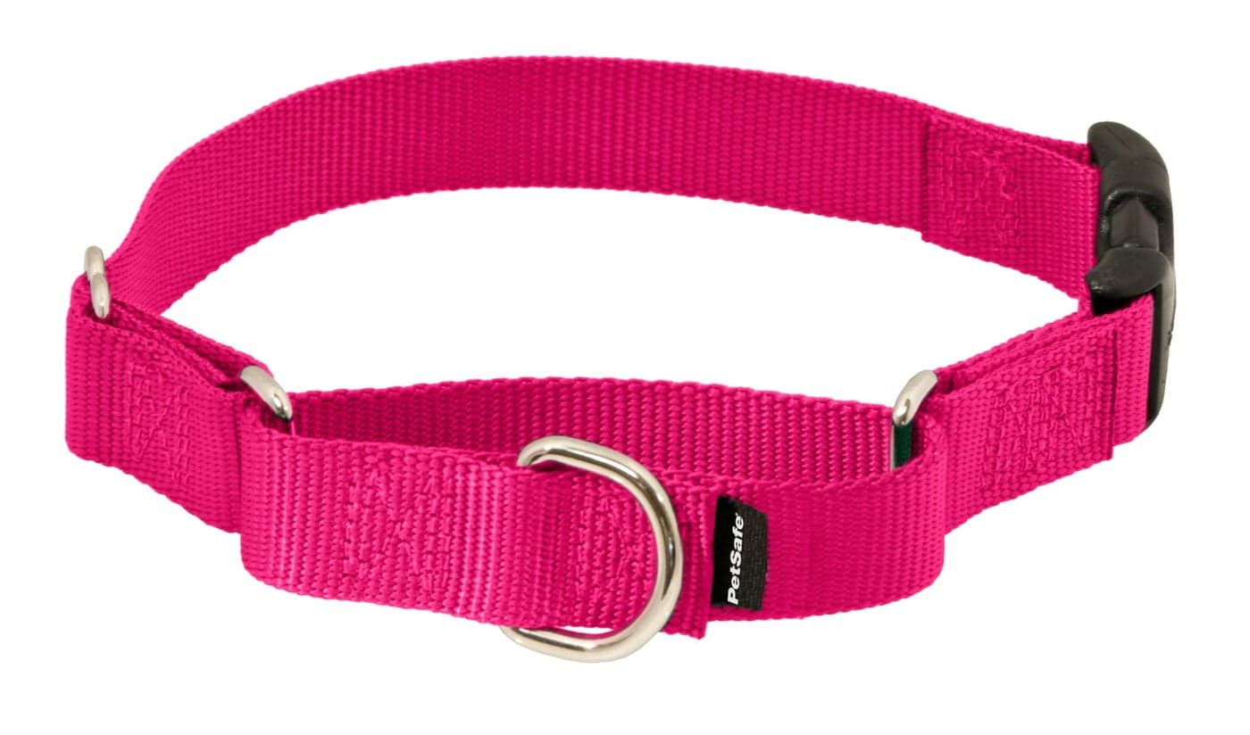 PetSafe Martingale Dog Collar with Quick-Snap Buckle - Small, 3/4 Inch, Raspberry
