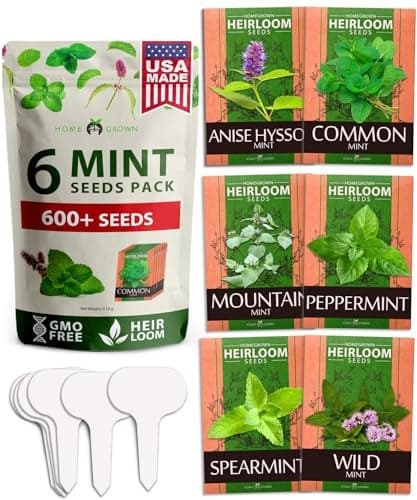 6 Mint Varieties β 600+ Heirloom Herb Seeds π‘π’π‘-ππ π’ π¨π¦π Peppermint, Spearmint, Mountain, Wild, Anise Hyssop, Common Mint | Indoor Outdoor Garden, Pots, Tea, Medicinal Use