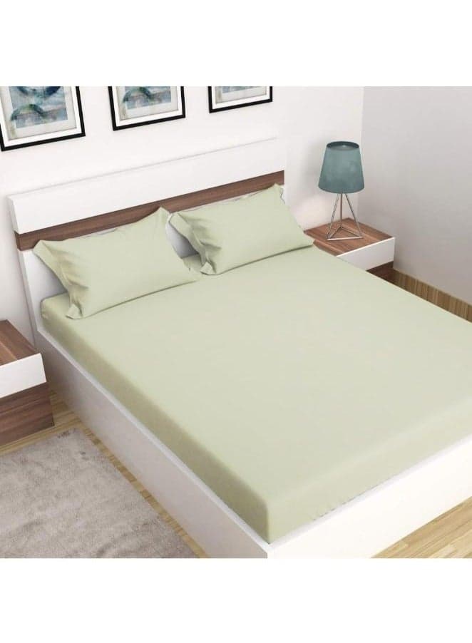 Orchard Exclusive Cream Queen Size Fitted Sheet 160x210Cm (Set of 1 Pc) Cotton percale Weave, Soft and Luxurious, High Quality Bed linen-180TC