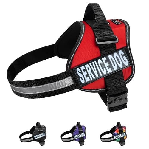 Doggie Stylz Service Dog Vest - Durable and Reflective Service Dog Harness, Adjustable Service Animal Vest for Dogs, XXS, XS, Medium, and Large Sizes - Comfortable Dog Service Vest for Working Dogs