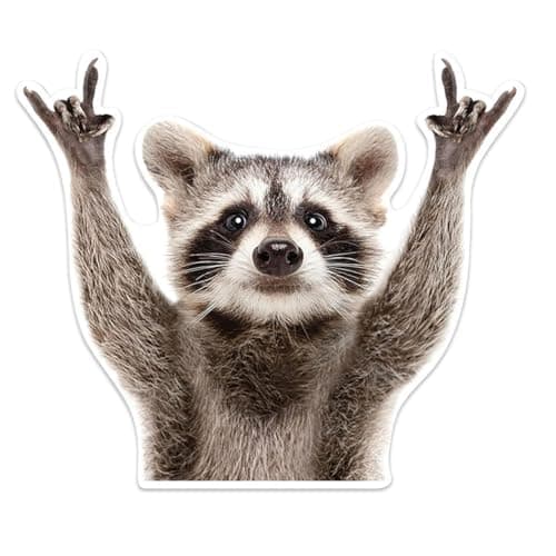 DUSCOKE Rocking Raccoon Car Sticker Decal Vinyl Waterproof Window Bumper Stickers 51 x 41 Funny Animal Pattern Decals Cute Vehicle Decoration Accessories for Wall Door Laptop 1PC