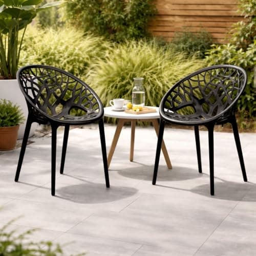 Oaknest Neelkamal Crystal Plastic Chair – Stylish Tree-Design Backrest, Lightweight & Durable for Home, Garden & Patio (Iron Black), Set of 2 Piece