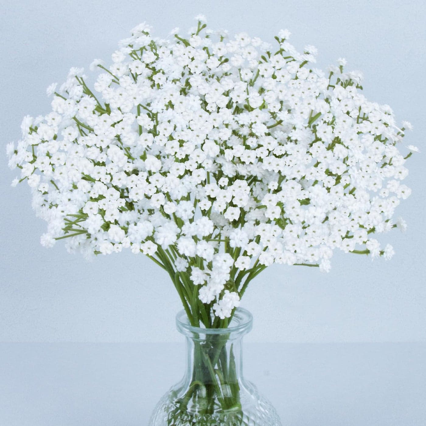 MAQIAHN 6 Baby Breath Artificial Flowers Babies Breath Flowers Artificial Bulk Faux Flowers Bouquet White Flores Greenery Real Touch Fake Flowers Arrangements Wedding Centerpieces Tables Decorations