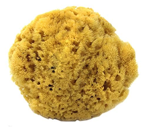 100% Natural Sea Sponge 5-6" by Spa Destinations"Creating The In Home Spa Experience" For the Perfect Bath or Shower Experience. …