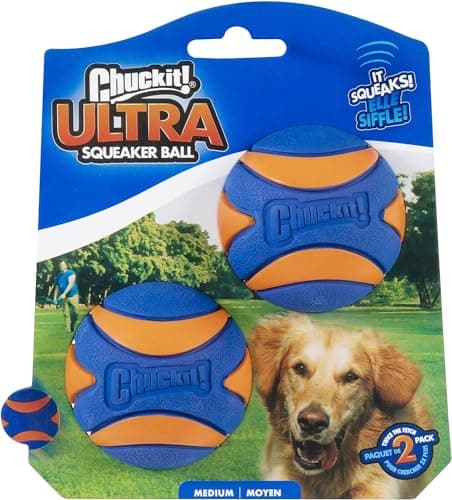 Chuckit Ultra Squeaker Balls for Dogs Floating Water Pet Toys Durable Rubber Pet Toy Bouncy Squeaky Fetch Balls For Dogs Pack of 2 Medium 25
