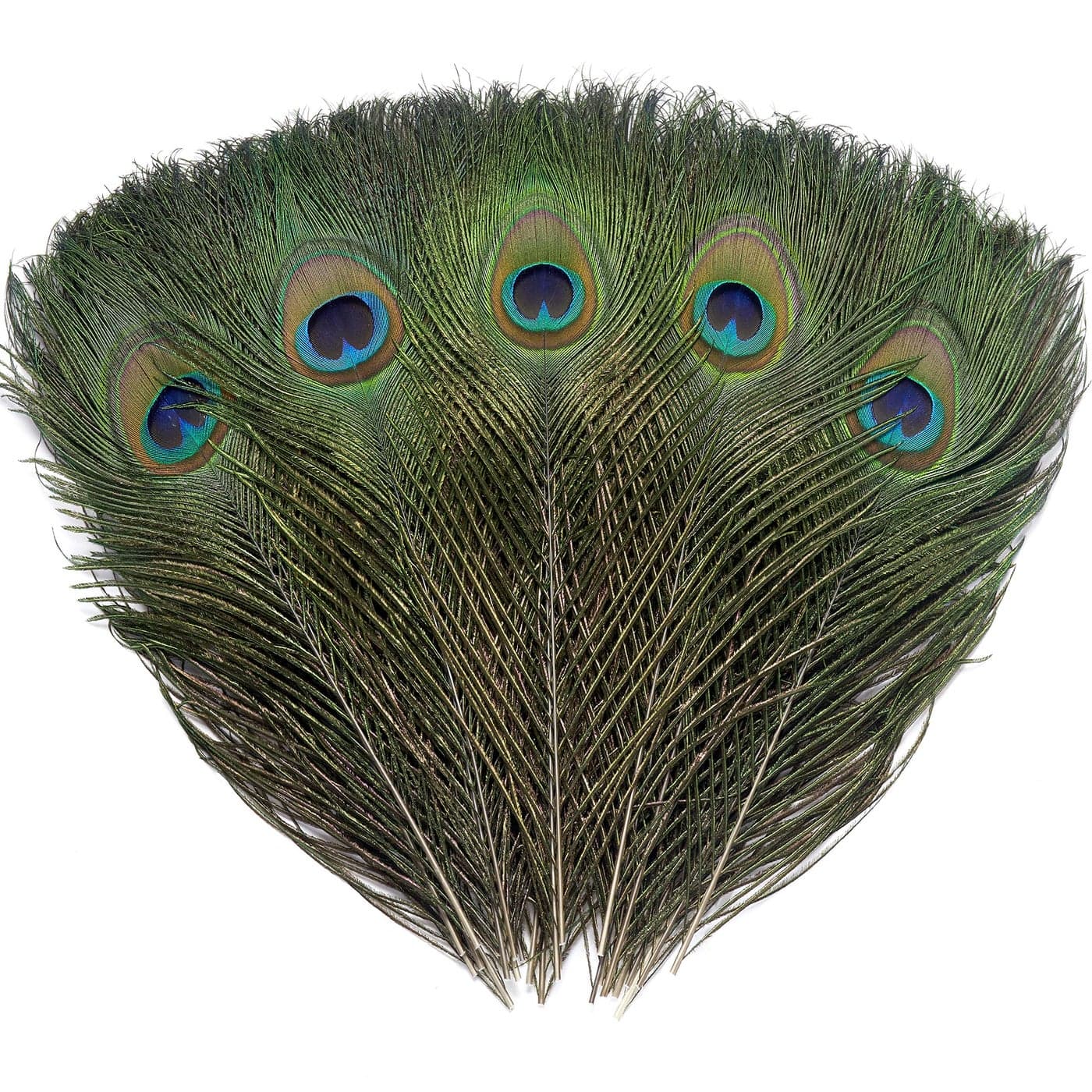 12 PCS Real Natural Peacock Eye Feathers 1012 inch for DIY Craft Wedding and Holiday Decorations