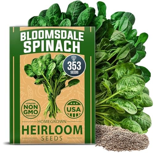 HOME GROWN Bloomsdale Spinach Seeds 353+ Non GMO Heirloom Seeds for Planting, High Germination, Cold Tolerant, Dark Green Crinkled Leaves, Fast Growing, Hydroponic & Garden (Spinacia oleracea)
