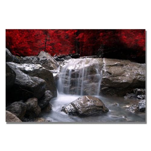 Red Vison by Philippe Sainte-Laudy, 16x24-Inch Canvas Wall Art