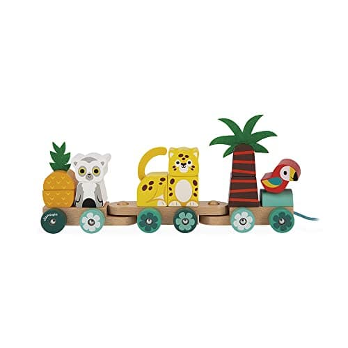 Janod Tropik Tropical PullAlong Train 11 Pieces and 3 Cars Ages 1 Year J08272