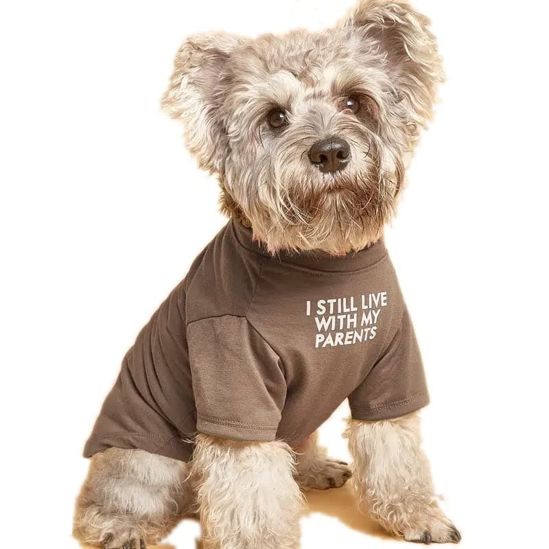 Cute Dog Clothes,Dog T Shirt for Girl/Boy Medium and Small Dogs,Puppy.Breathable Soft Pet Costume for Pet Dogs Cats,Pet Pullover Jumper,Cat Clothes (XXL-(19~23lb), Chest~21.5", Khaki)