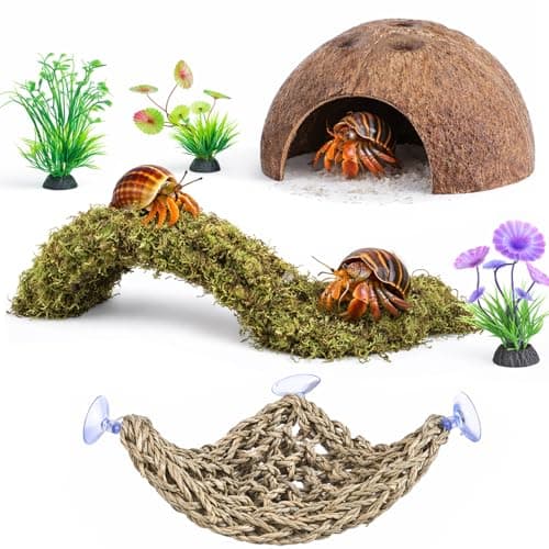 HERCCOCCI Hermit Crab Accessories 6Pcs Hermit Crab Toys Coconut Shell Hut Climbing Hammock Artificial Plants for Hermit Crabs