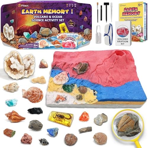PIBEX Volcano Ocean Fossil Dig Kit Dig up 20 Real Fossils Rocks Shells Sea Snails with Eruption Experiments Earth Science Geology Kit for Kids STEM Toy Gift for Boys Girls Age 6812