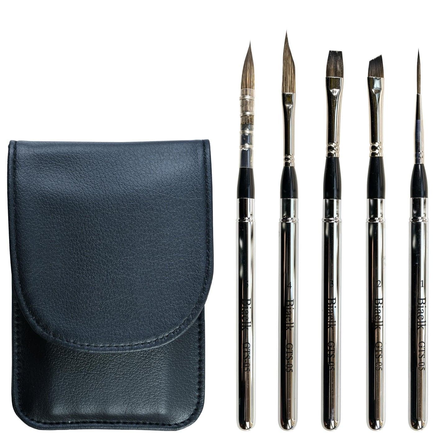 Biaelk GTS05 Travel Watercolor Brushes Set5PCS Professional Paint Brushes FaceMiniatureDaggerFlatRound Paint Brushes for WatercolorGouchAcrylic