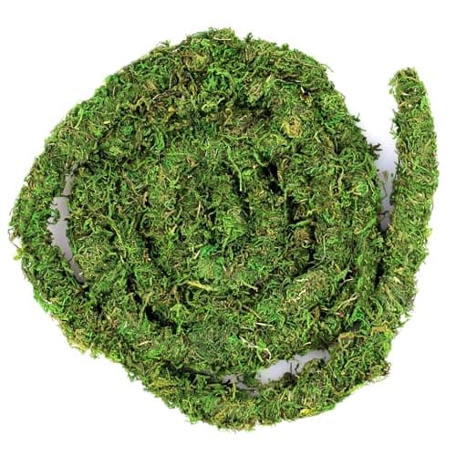 Supermoss Galápagos (05266) MossVine, Real Moss Vine, 12FT, Green