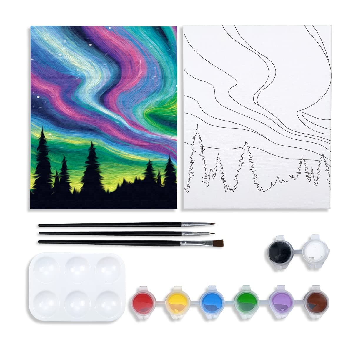Nuberlic Pre Drawn Canvas Paint Kit Adult Sip and Paint Party Favor DIY Date Night Activity 8X10 Canvas to Paint Birthday Party Gift Star Night