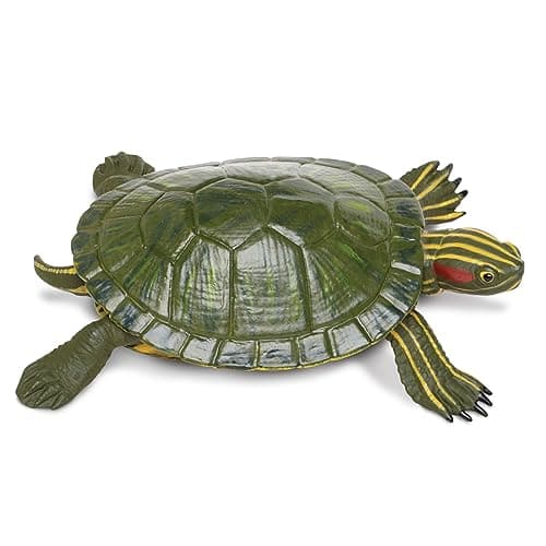 Safari Ltd RedEared Slider Turtle Figurine Realistic 525 Model Figure Educational Toy for Boys Girls and Kids Ages 18M