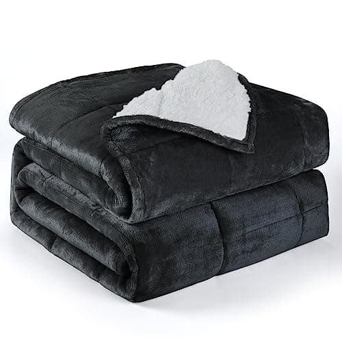 Alomidds Weighted Blanket (Queen Size 20lbs 60x80 inches) with Soft Plush Fleece, Throw Blanket with Cozy Warm Sherpa,Ultra Fuzzy Heavy Blanket Microfiberfor for Sofa Bed, Dark Grey