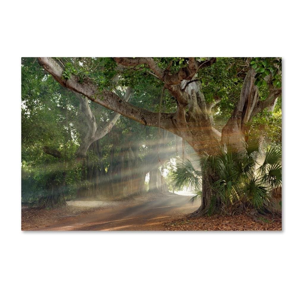Trademark Fine Art Boca Grande Banyon Street Wall Decor